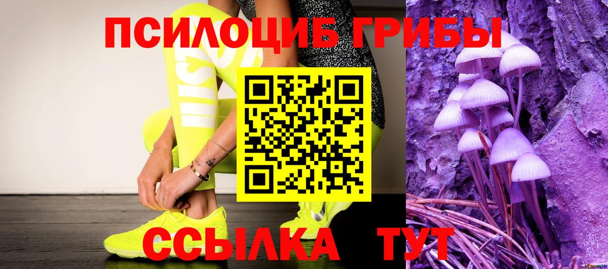 Галлюциногенные грибы Magic Shrooms  Вход с VPN  Тайшет 